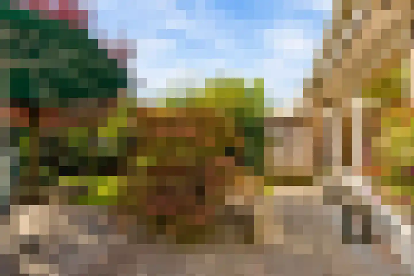 Dorpsstraat 40 Houten thumbnail 46