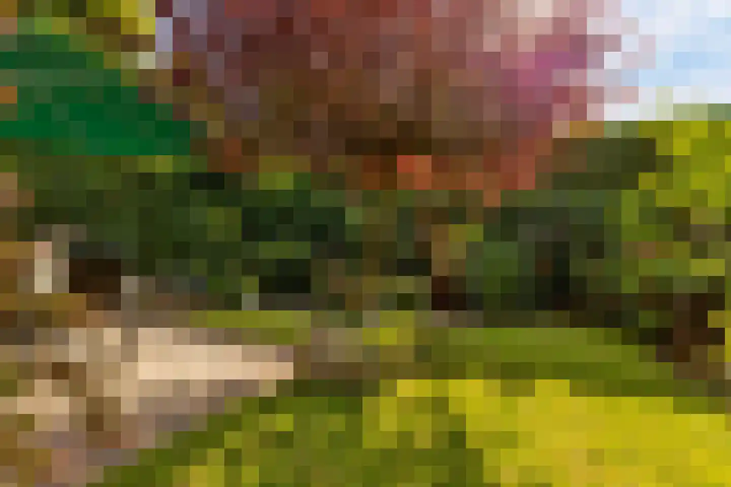 Dorpsstraat 40 Houten thumbnail 47