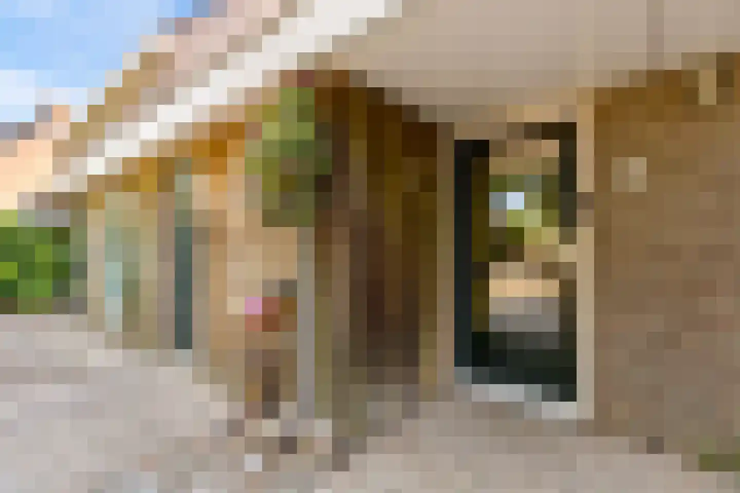Dorpsstraat 40 Houten thumbnail 5