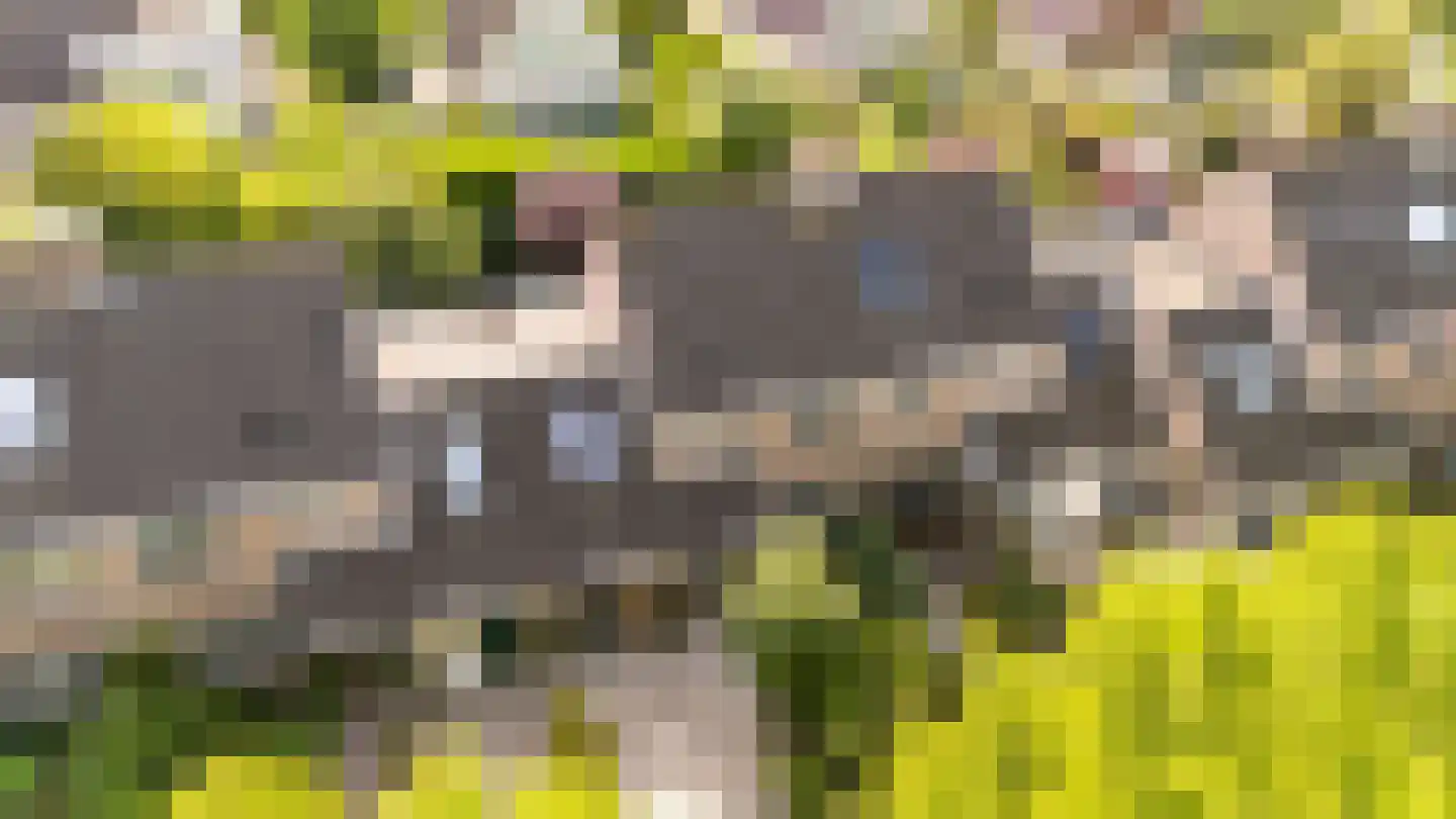 Dorpsstraat 40 Houten thumbnail 52