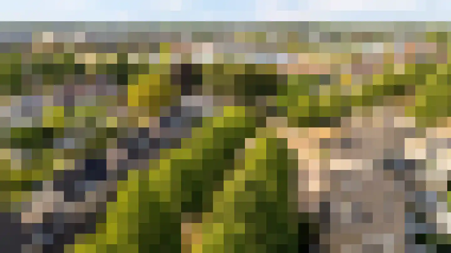 Dorpsstraat 40 Houten thumbnail 53