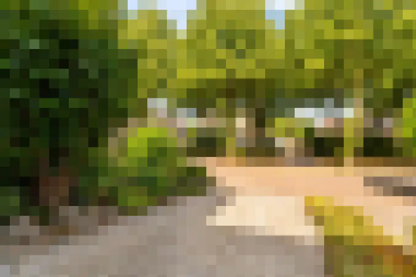Dorpsstraat 40 Houten thumbnail 57