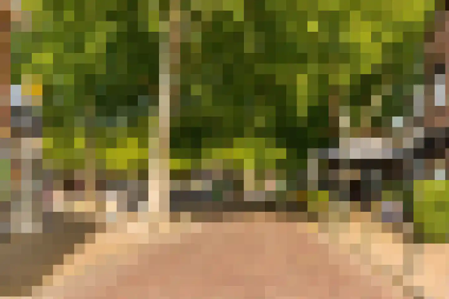 Dorpsstraat 40 Houten thumbnail 61