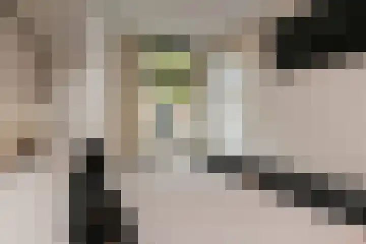 Dorpsstraat 40 l Nootdorp thumbnail 10