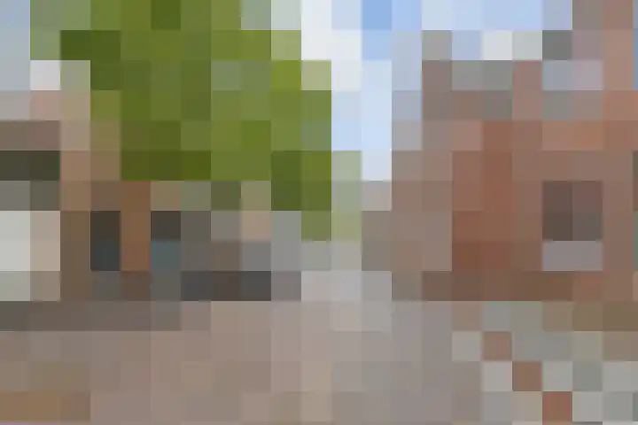 Dorpsstraat 40 l Nootdorp thumbnail 21