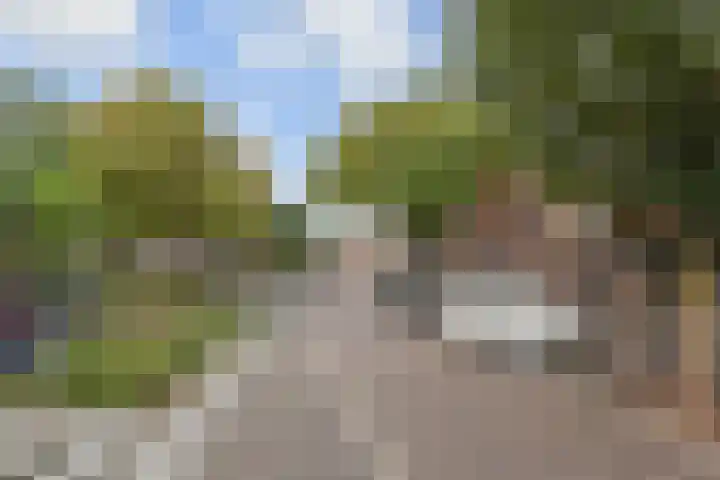 Dorpsstraat 40 l Nootdorp thumbnail 22