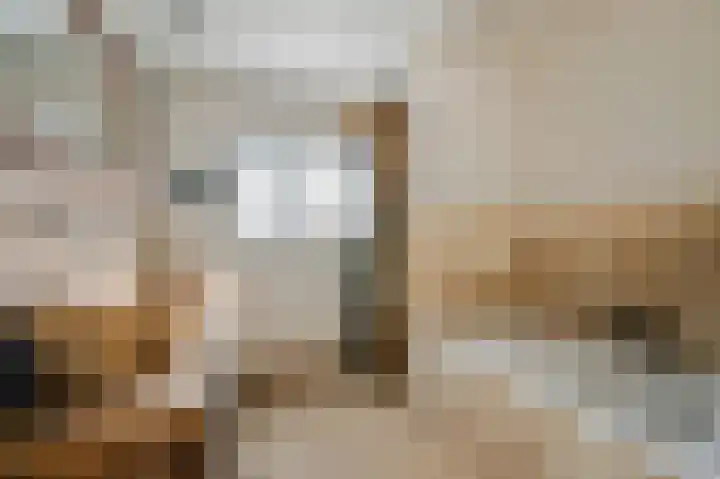 Dorpsstraat 40 Niftrik thumbnail 13