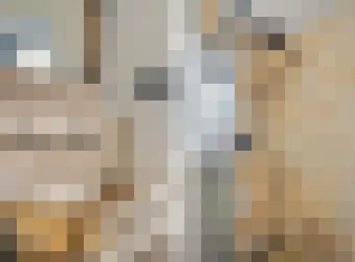 Dorpsstraat 40 Niftrik thumbnail 15