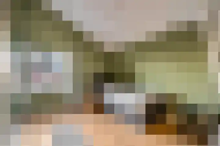 Dorpsstraat 40 Niftrik thumbnail 26