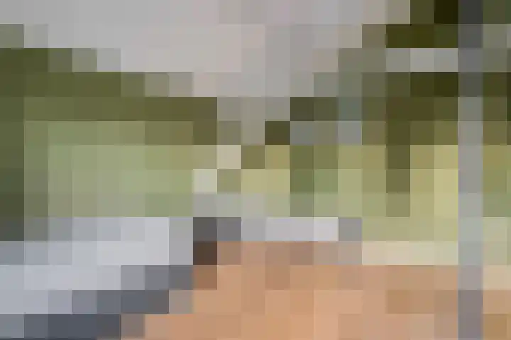 Dorpsstraat 40 Niftrik thumbnail 28