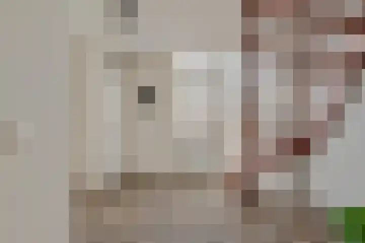 Dorpsstraat 40 Niftrik thumbnail 34