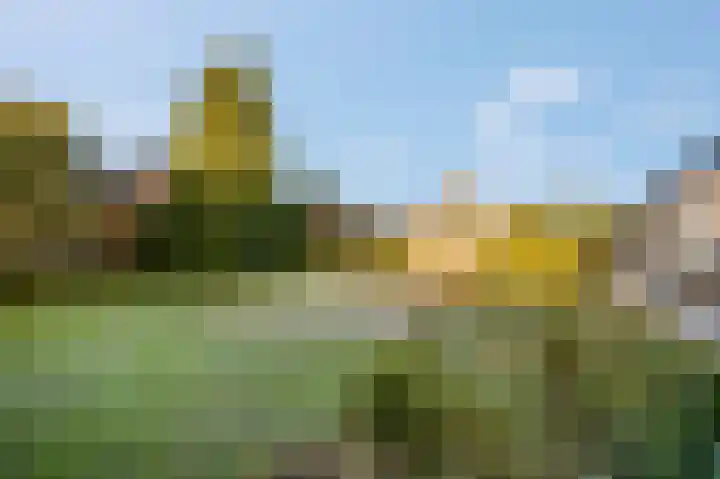 Dorpsstraat 40 Niftrik thumbnail 36