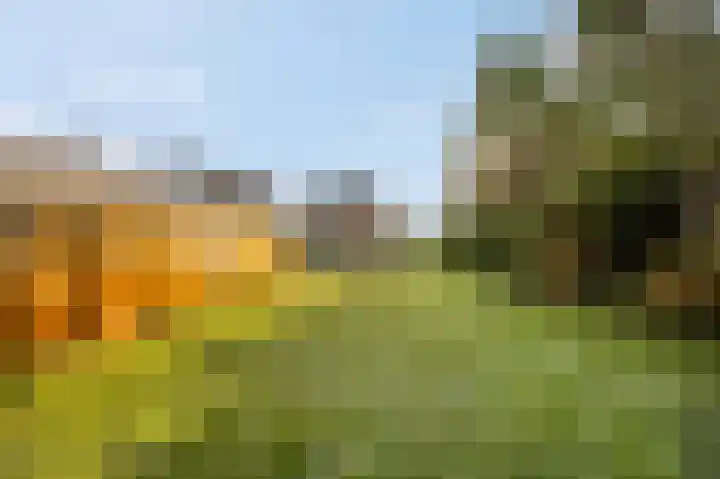 Dorpsstraat 40 Niftrik thumbnail 38