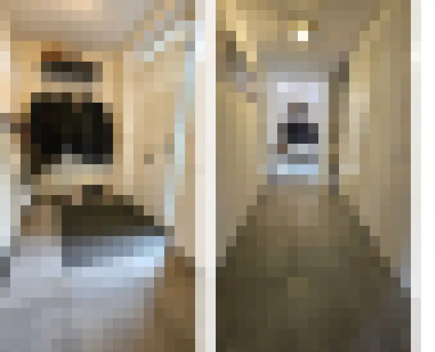 Dorpsstraat 407 Assendelft thumbnail 12