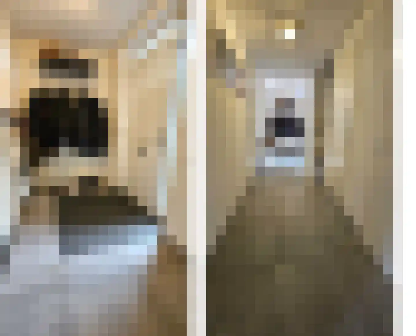 Dorpsstraat 407 Assendelft thumbnail 12