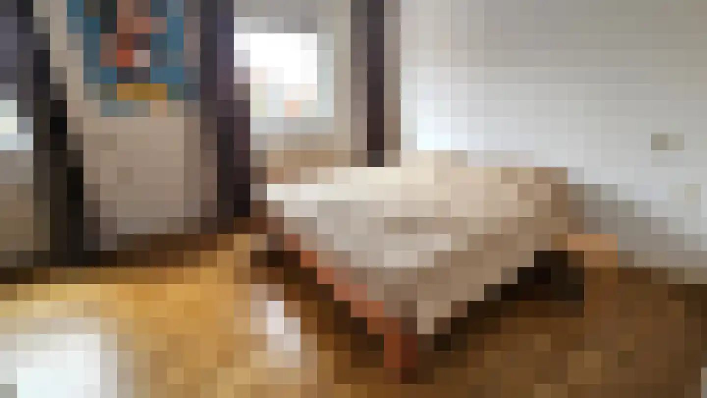 Dorpsstraat 407 Assendelft thumbnail 17