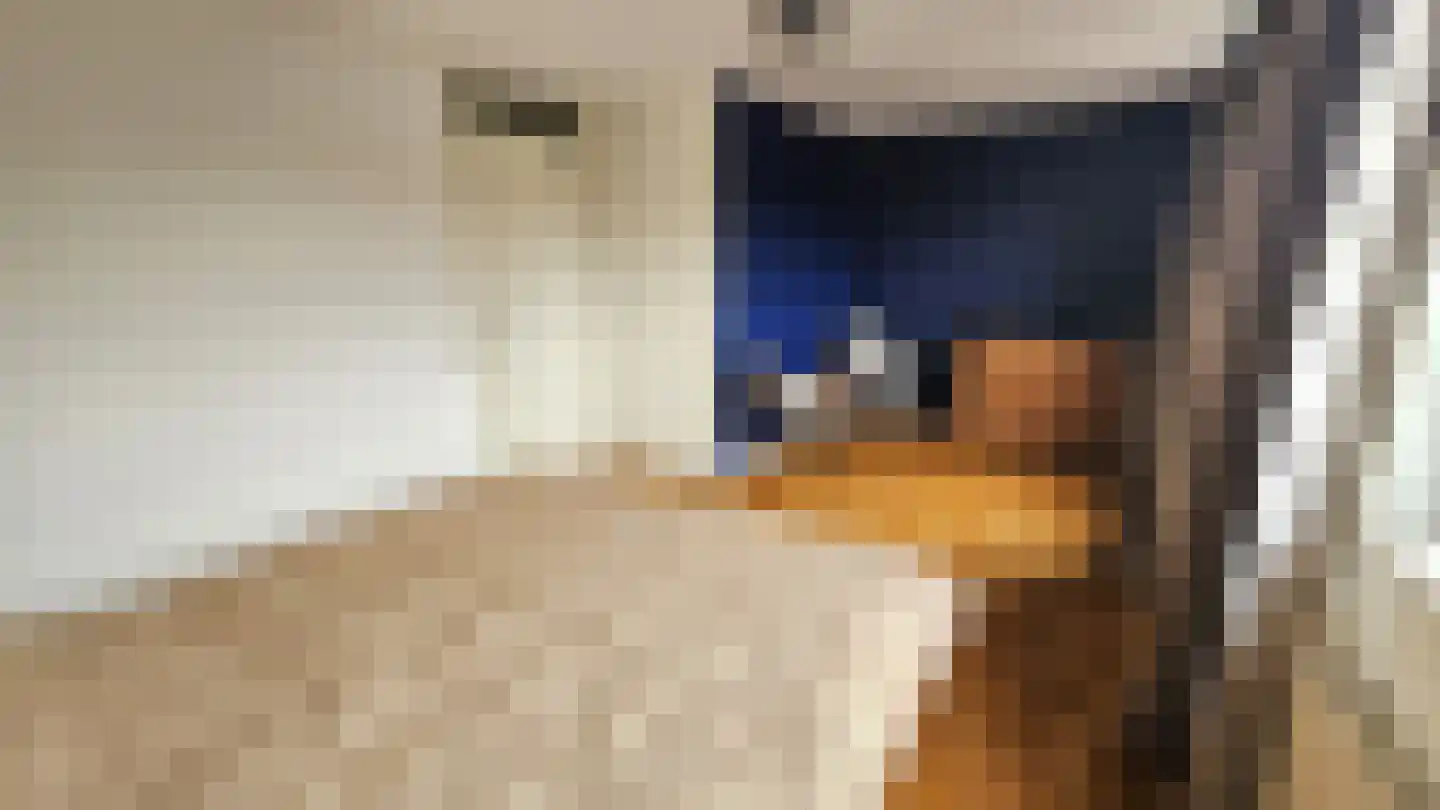 Dorpsstraat 407 Assendelft thumbnail 18