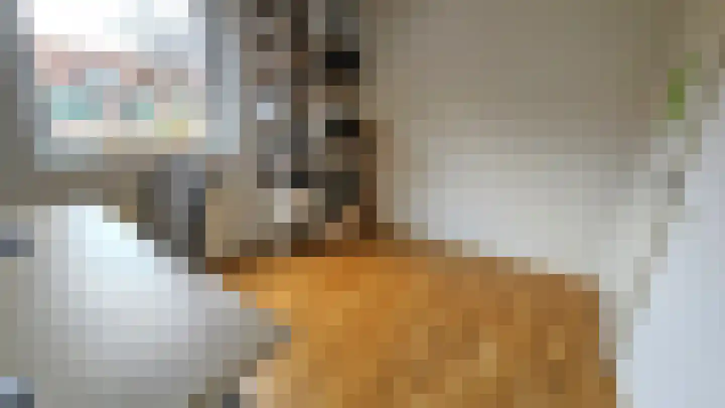 Dorpsstraat 407 Assendelft thumbnail 22