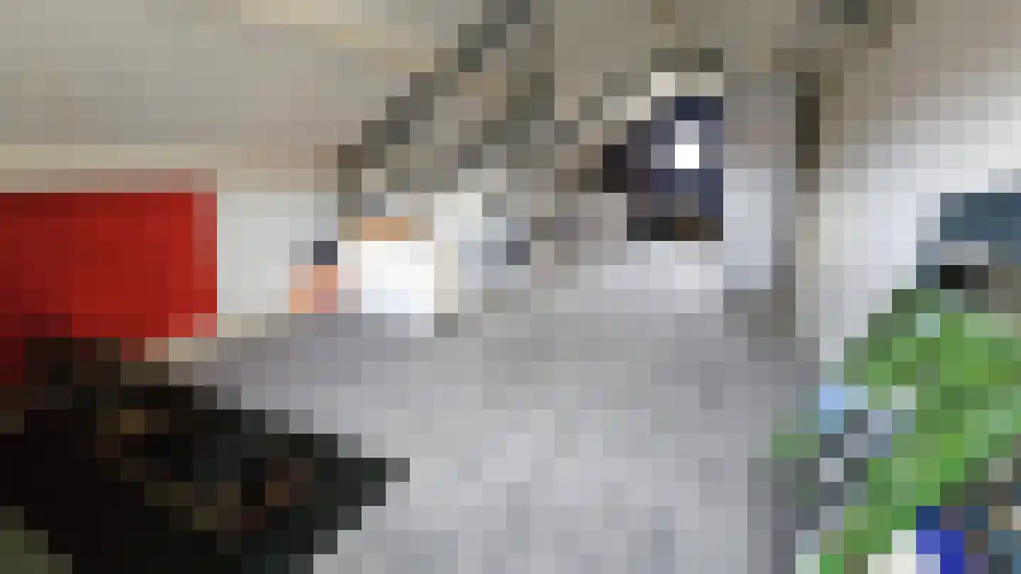 Dorpsstraat 407 Assendelft thumbnail 27