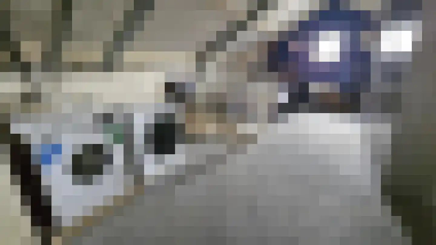 Dorpsstraat 407 Assendelft thumbnail 29