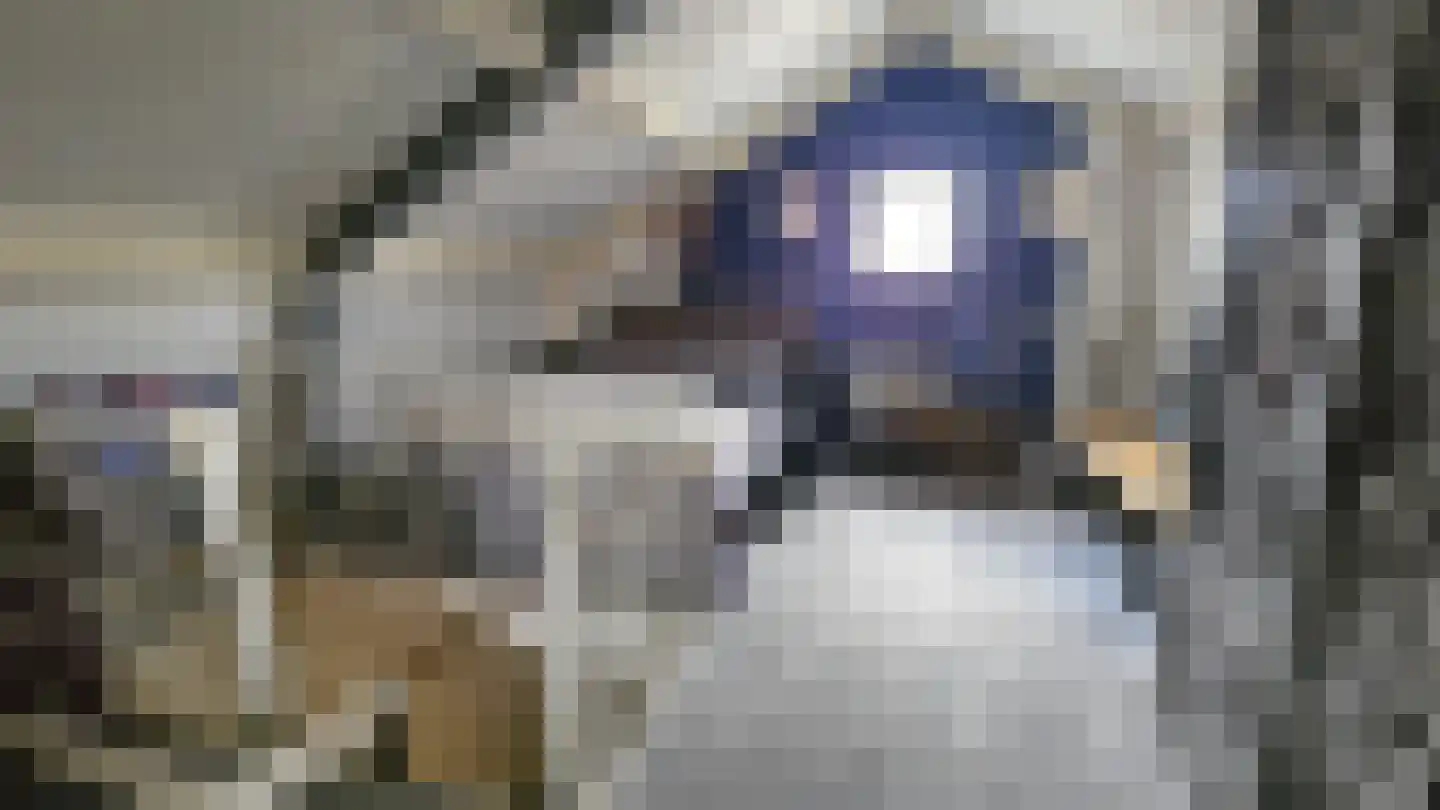 Dorpsstraat 407 Assendelft thumbnail 30