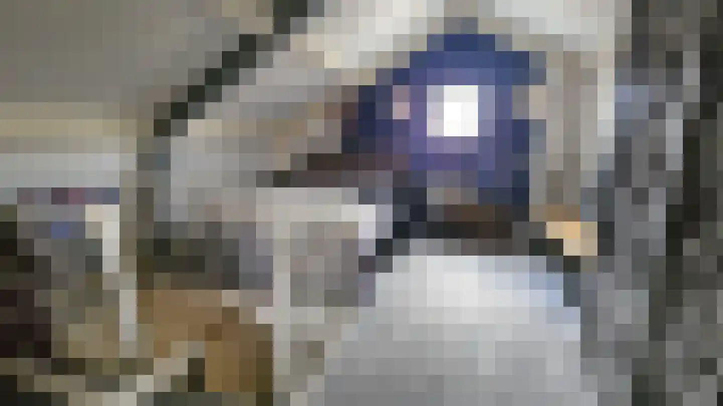 Dorpsstraat 407 Assendelft thumbnail 30
