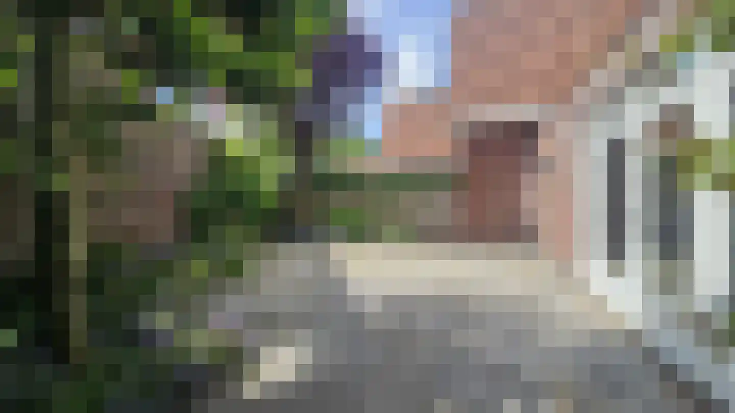 Dorpsstraat 407 Assendelft thumbnail 36