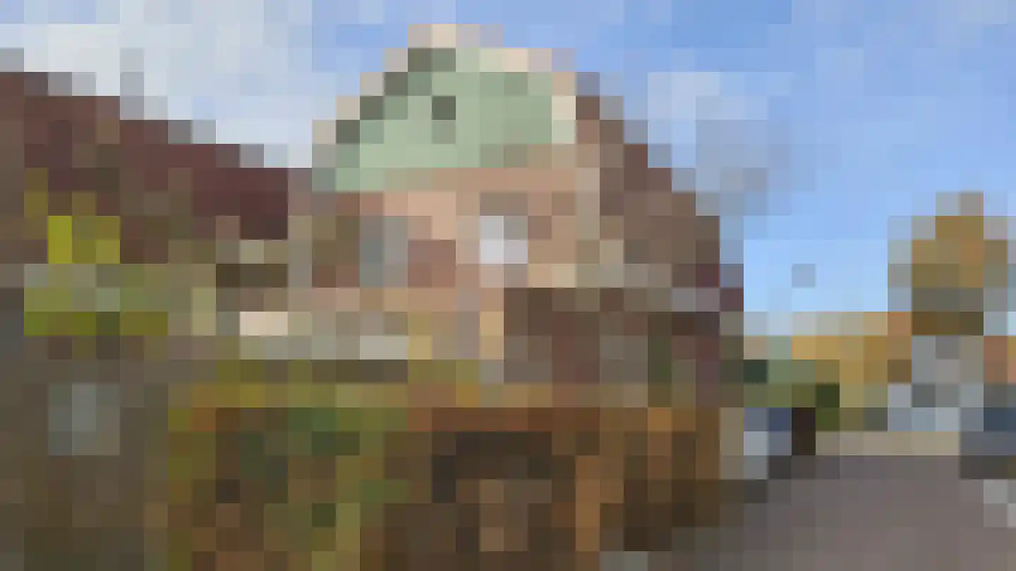 Dorpsstraat 407 Assendelft thumbnail 38
