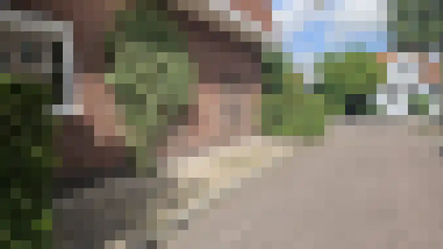 Dorpsstraat 407 Assendelft thumbnail 39