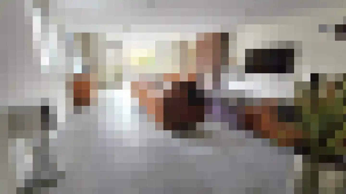 Dorpsstraat 407 Assendelft thumbnail 4