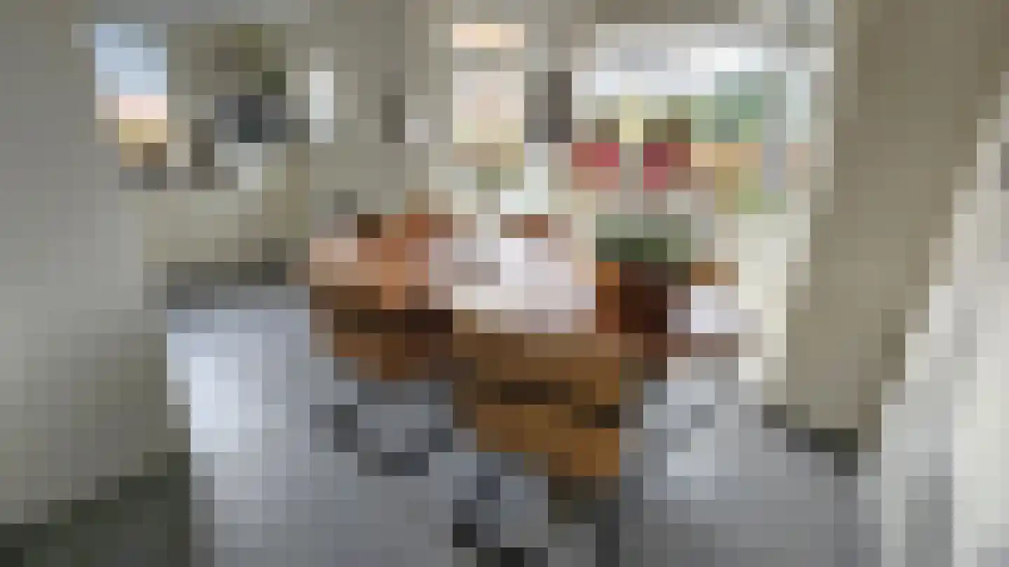 Dorpsstraat 407 Assendelft thumbnail 5