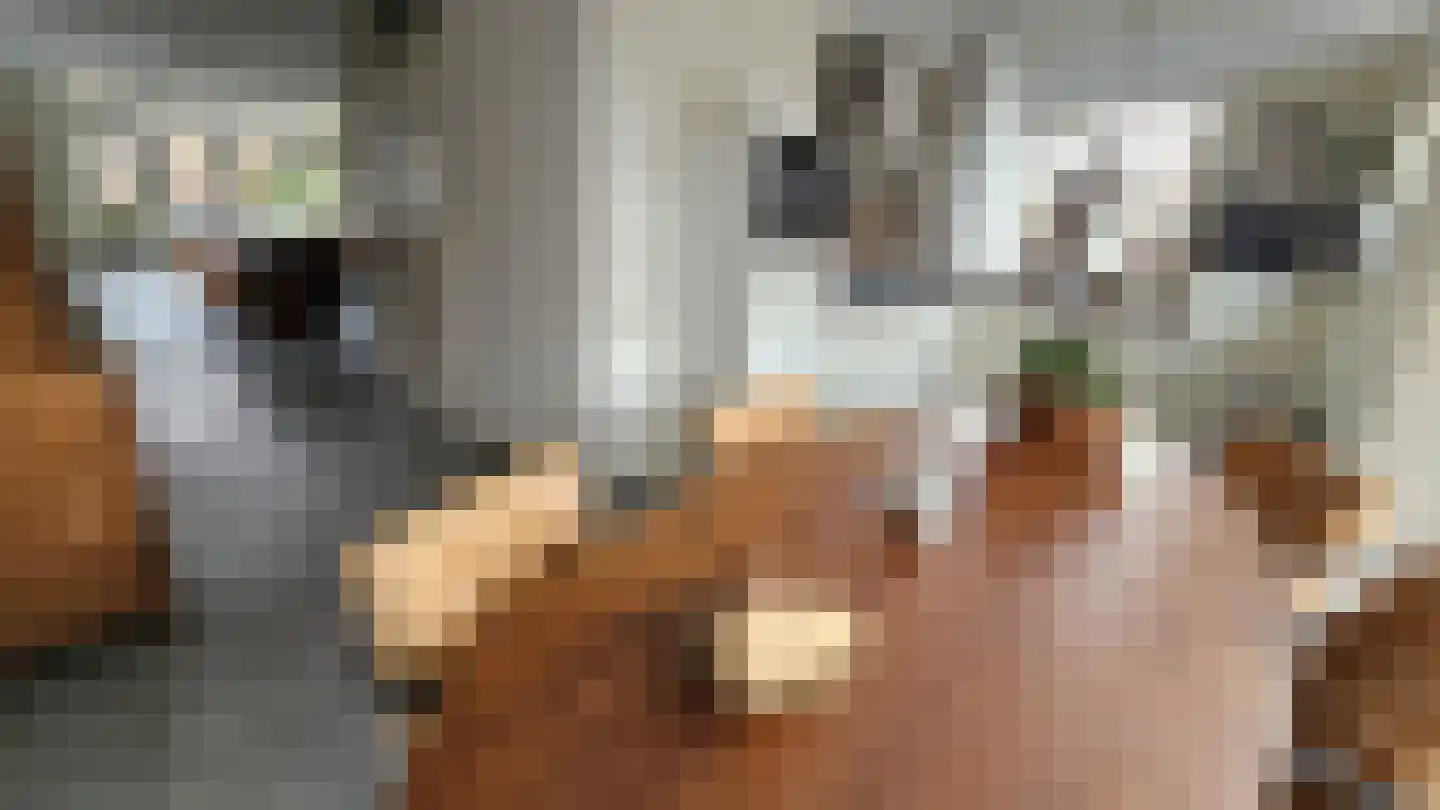 Dorpsstraat 407 Assendelft thumbnail 6