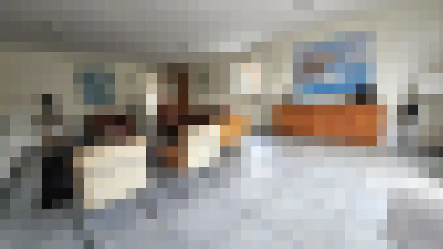 Dorpsstraat 407 Assendelft thumbnail 9