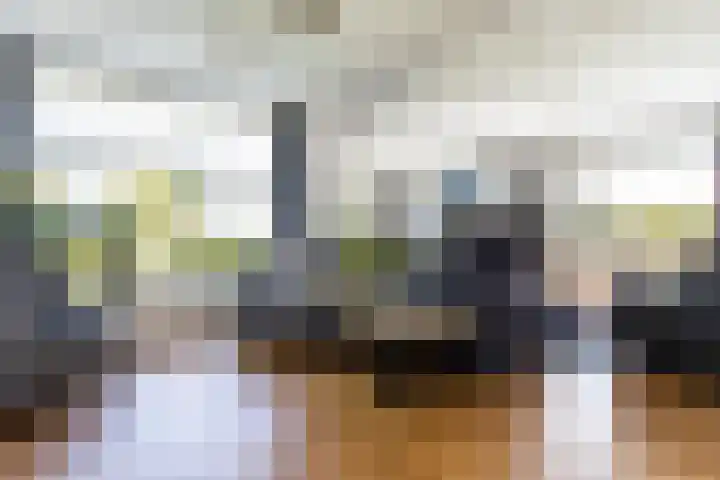 Dorpsstraat 41 Bruchem thumbnail 10