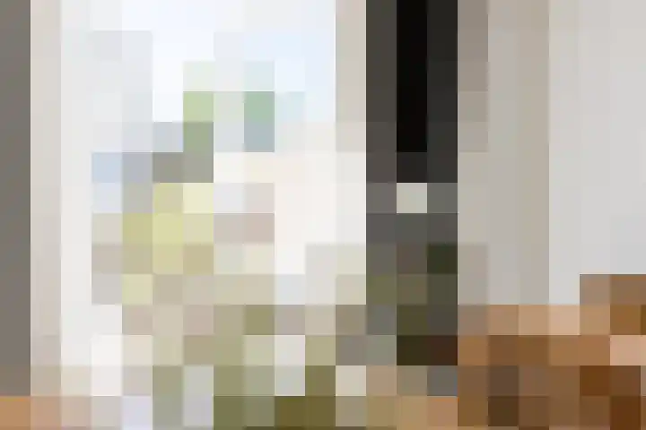 Dorpsstraat 41 Bruchem thumbnail 16