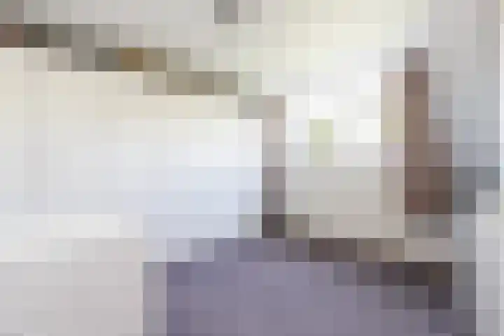 Dorpsstraat 41 Bruchem thumbnail 38
