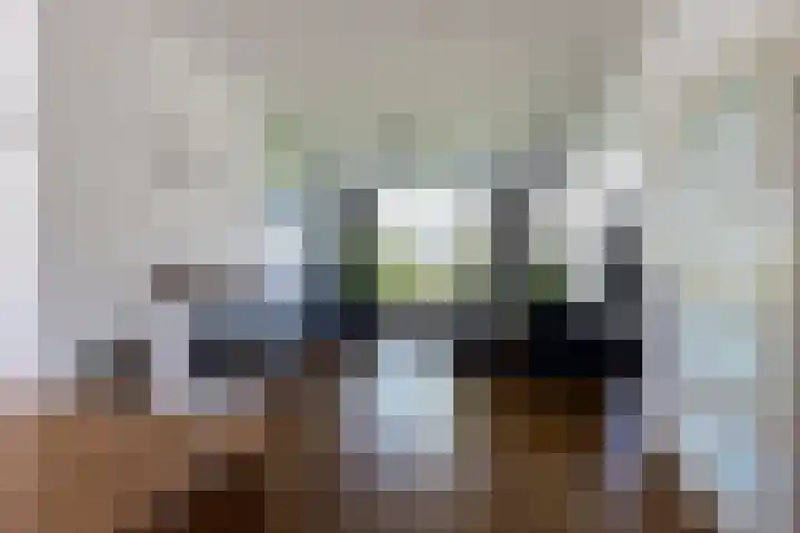 Dorpsstraat 41 Bruchem thumbnail 6