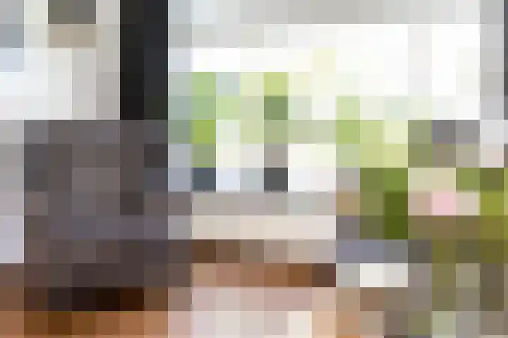 Dorpsstraat 41 Bruchem thumbnail 9