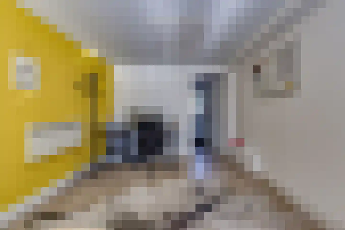 Dorpsstraat 41 Ees thumbnail 11