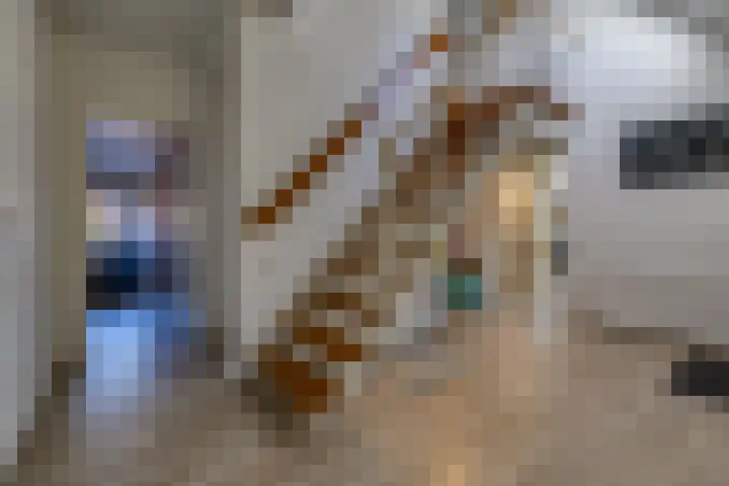 Dorpsstraat 41 Ees thumbnail 19