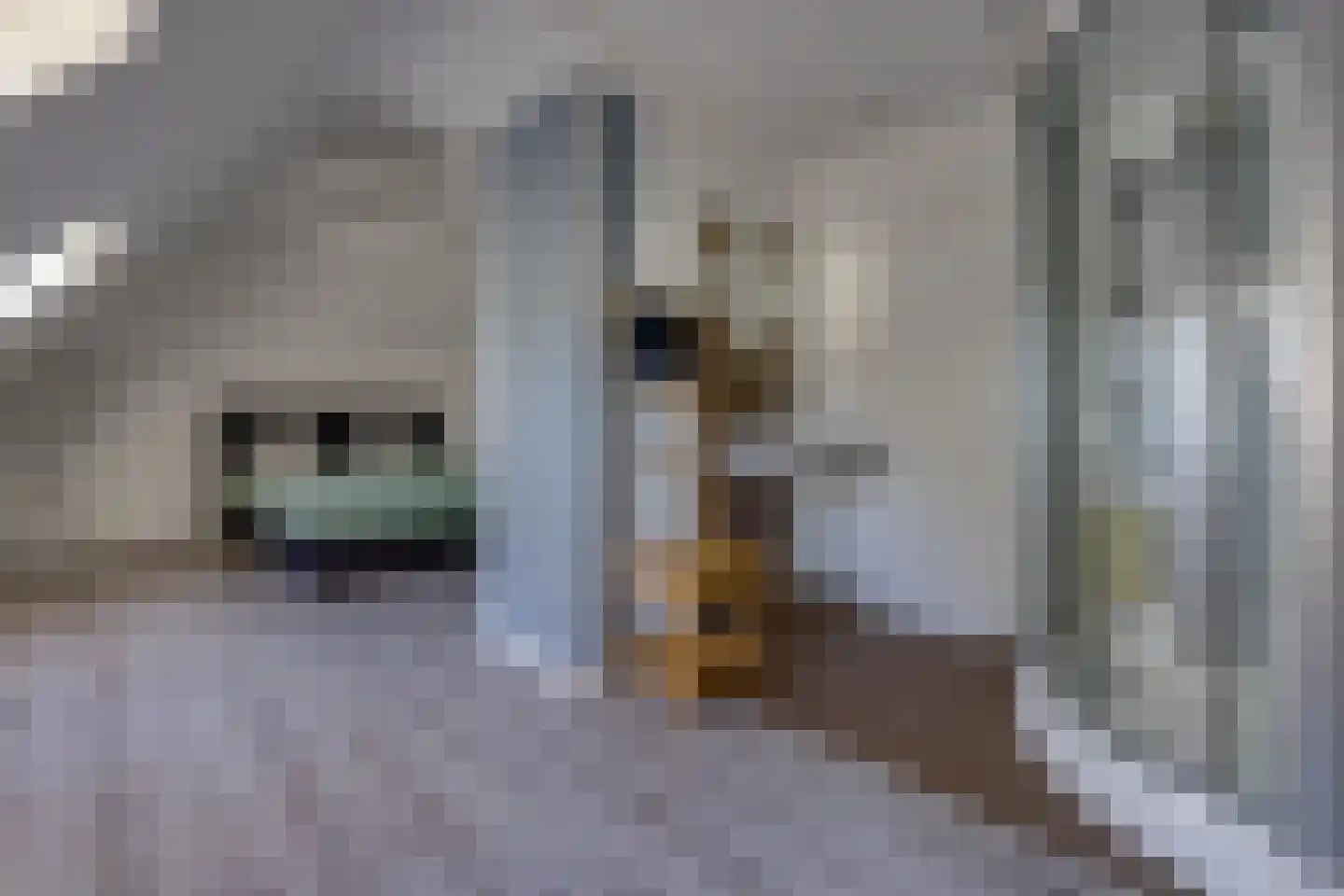 Dorpsstraat 41 Ees thumbnail 21