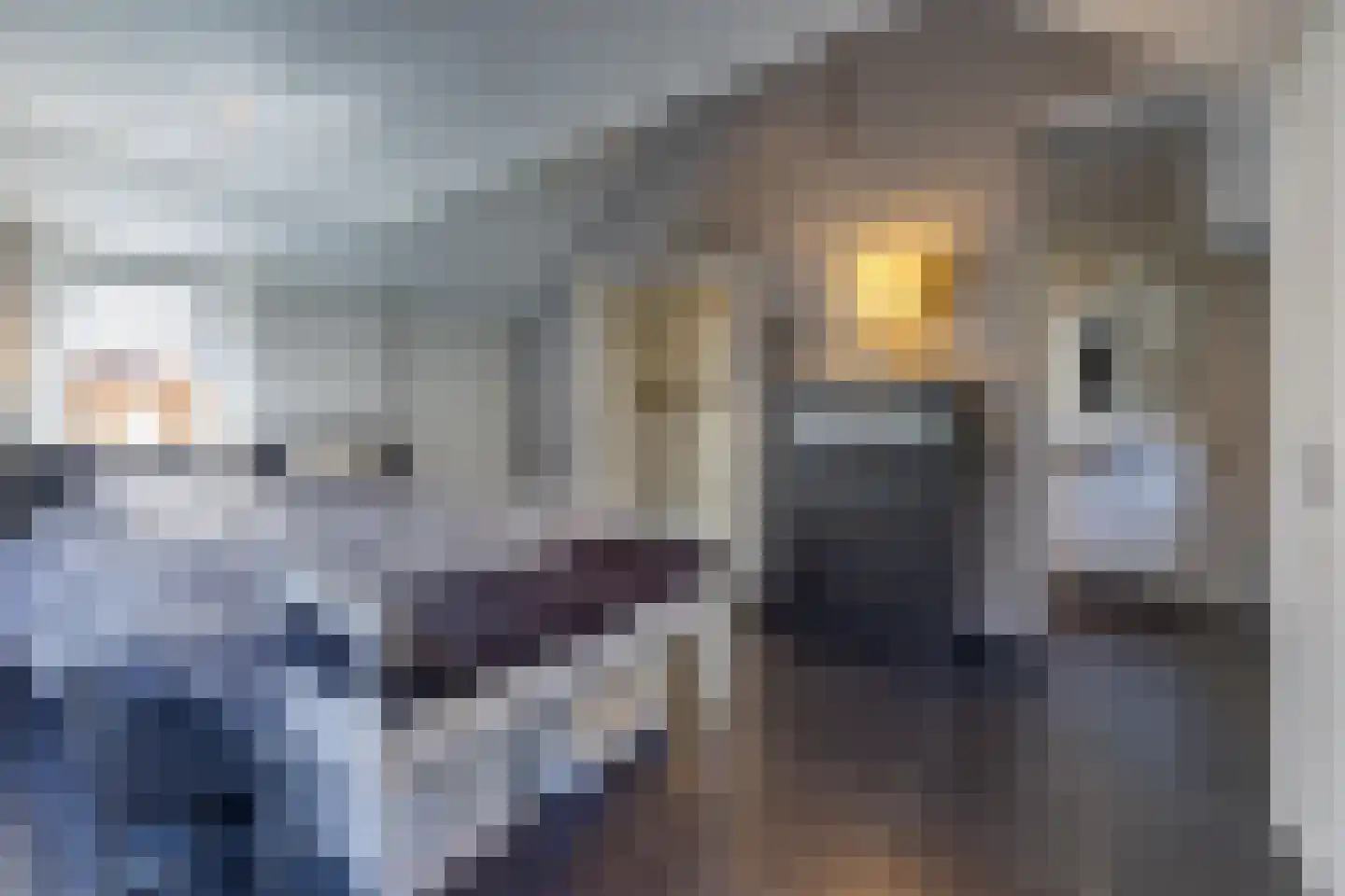 Dorpsstraat 41 Ees thumbnail 38