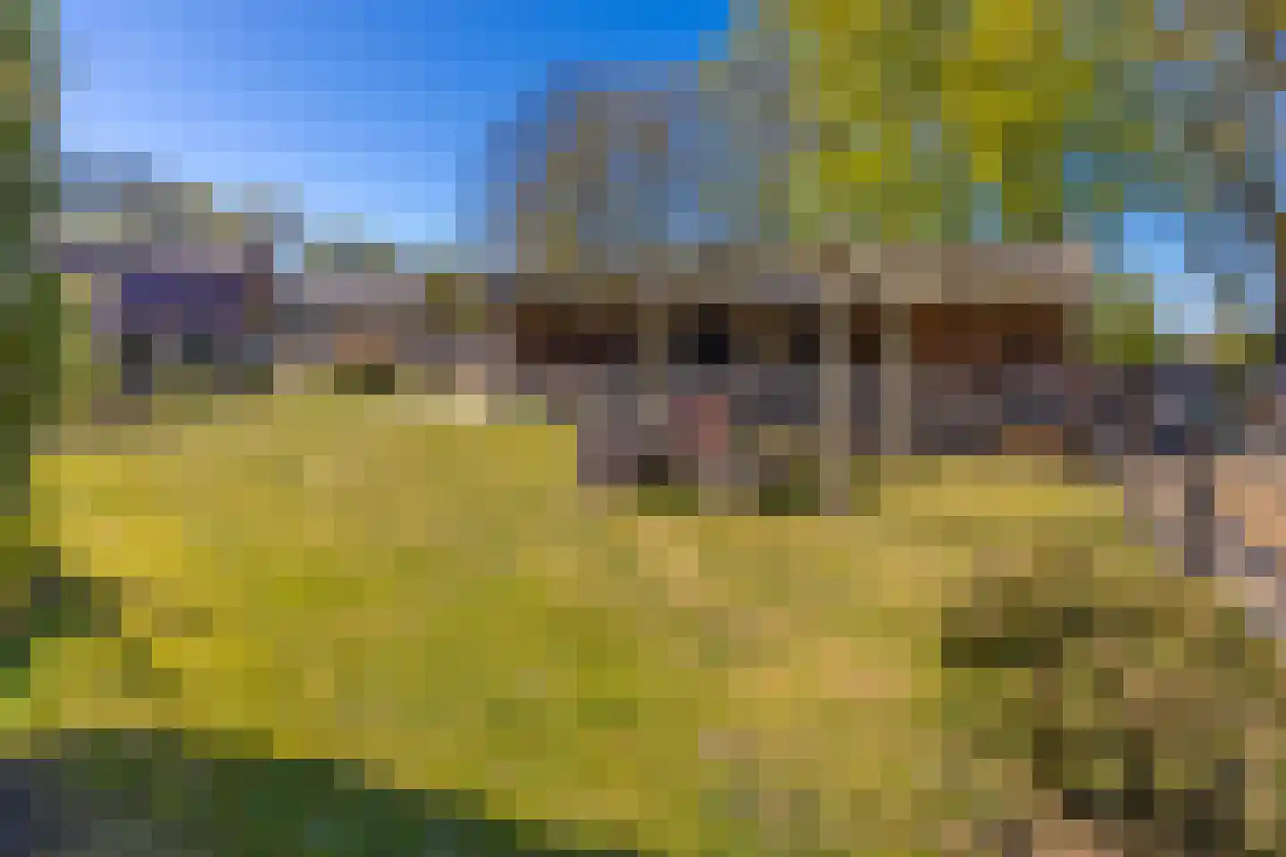 Dorpsstraat 41 Ees thumbnail 45