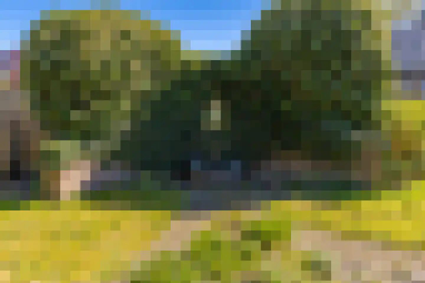 Dorpsstraat 41 Ees thumbnail 46