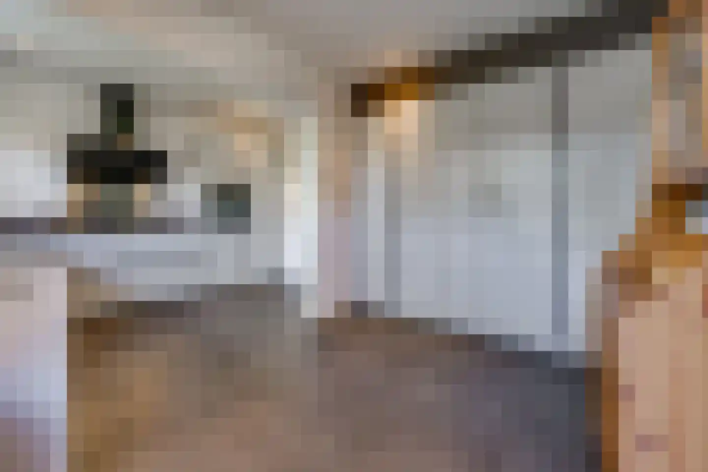 Dorpsstraat 41 Ees thumbnail 8