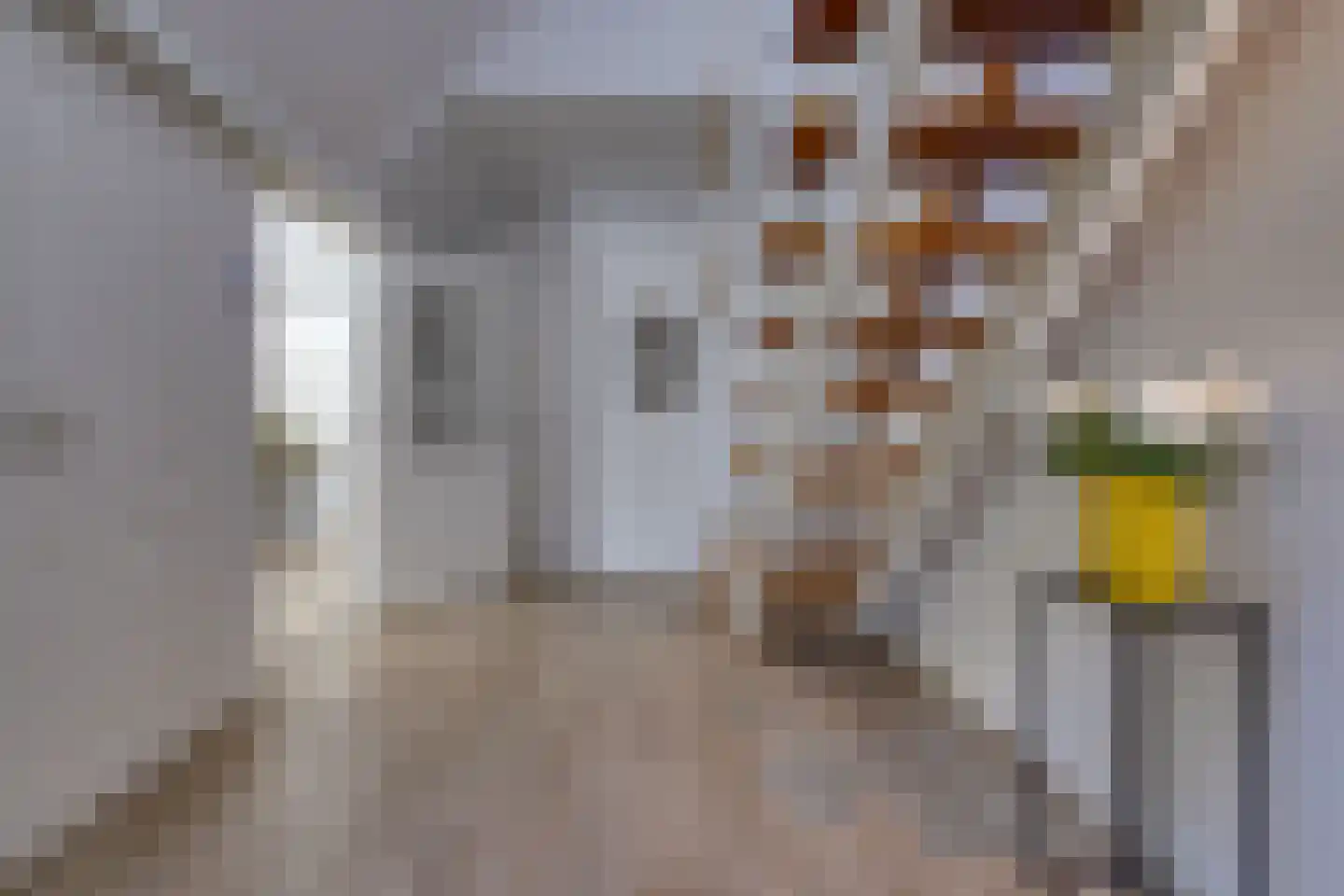 Dorpsstraat 41 Ees thumbnail 9