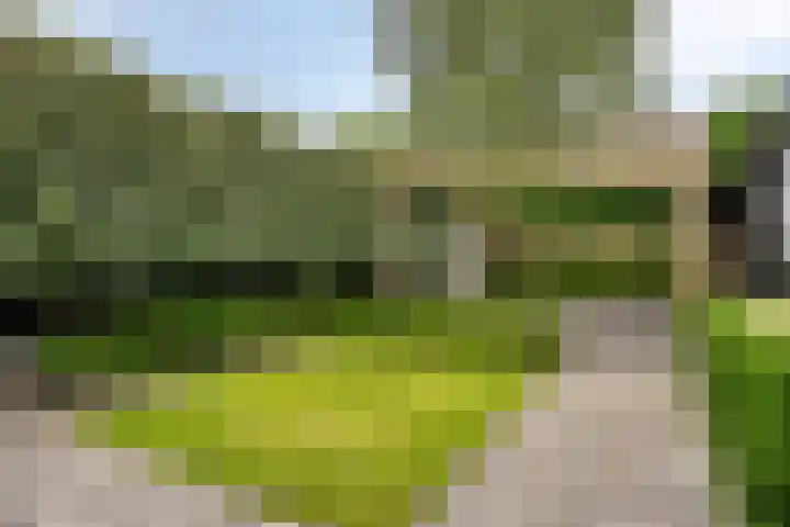 Dorpsstraat 41 Gapinge thumbnail 19