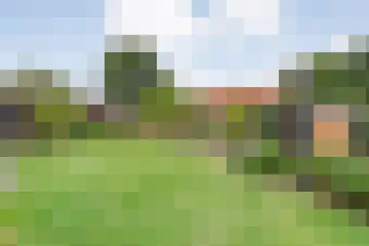 Dorpsstraat 41 Geesteren thumbnail 20