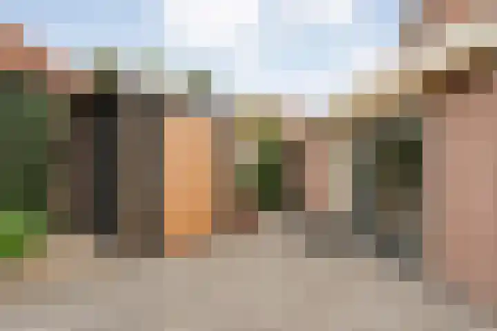 Dorpsstraat 41 Geesteren thumbnail 21
