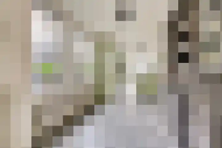 Dorpsstraat 41 Gouderak thumbnail 15